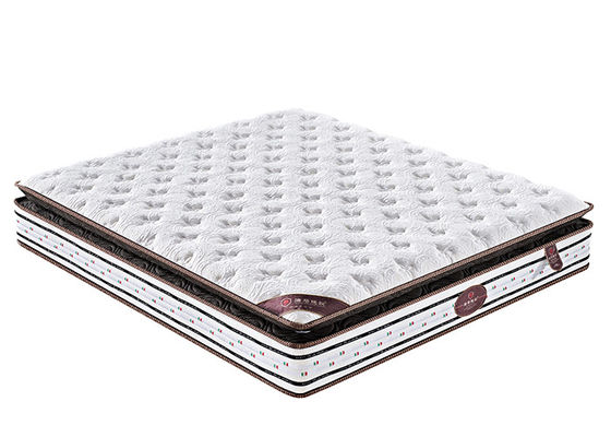 O colchão orgânico da espuma do algodão do alto densidade, OEM engrossou o rei Pocket Spring Mattress